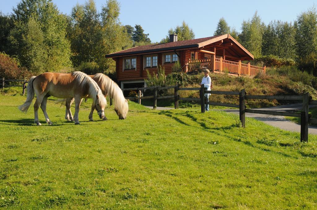 Hotelanlage Country Lodge Арнсберг Экстерьер фото